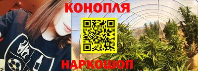 a pvp Нальчик