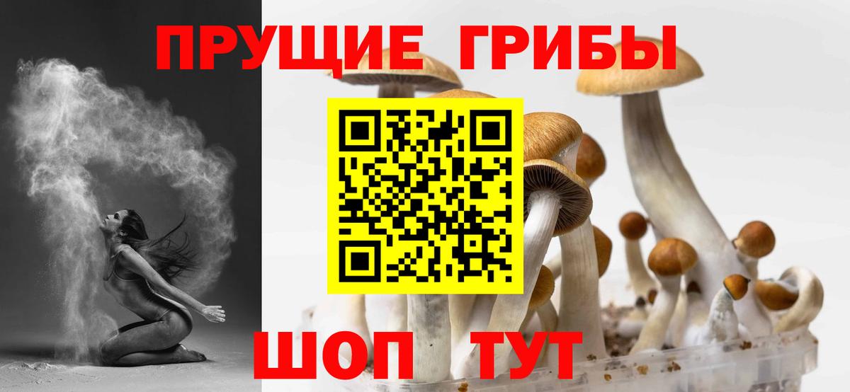 где продают   Вход с VPN  Ярцево  Галлюциногенные грибы Cubensis 